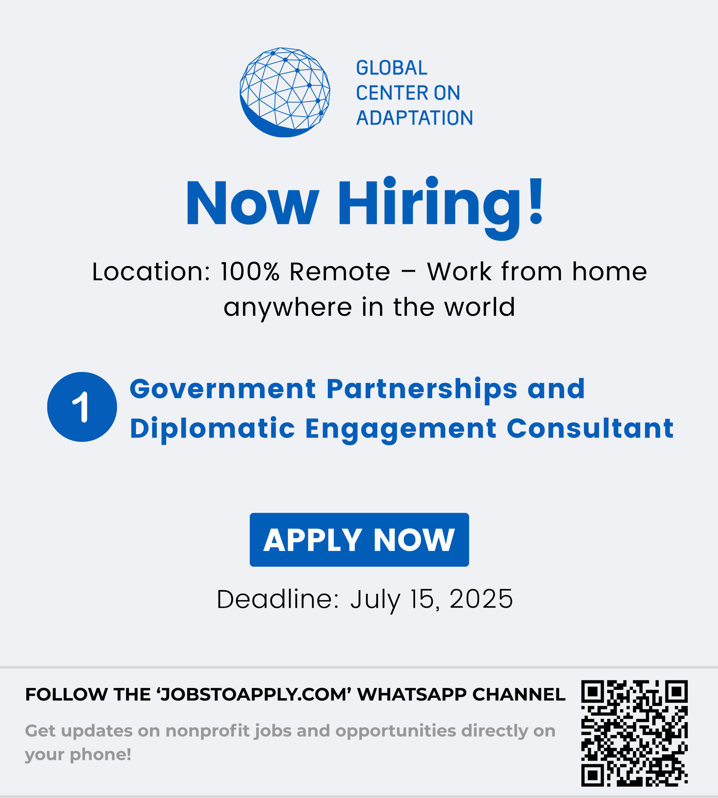 Government Partnerships and Diplomatic Engagement Consultant