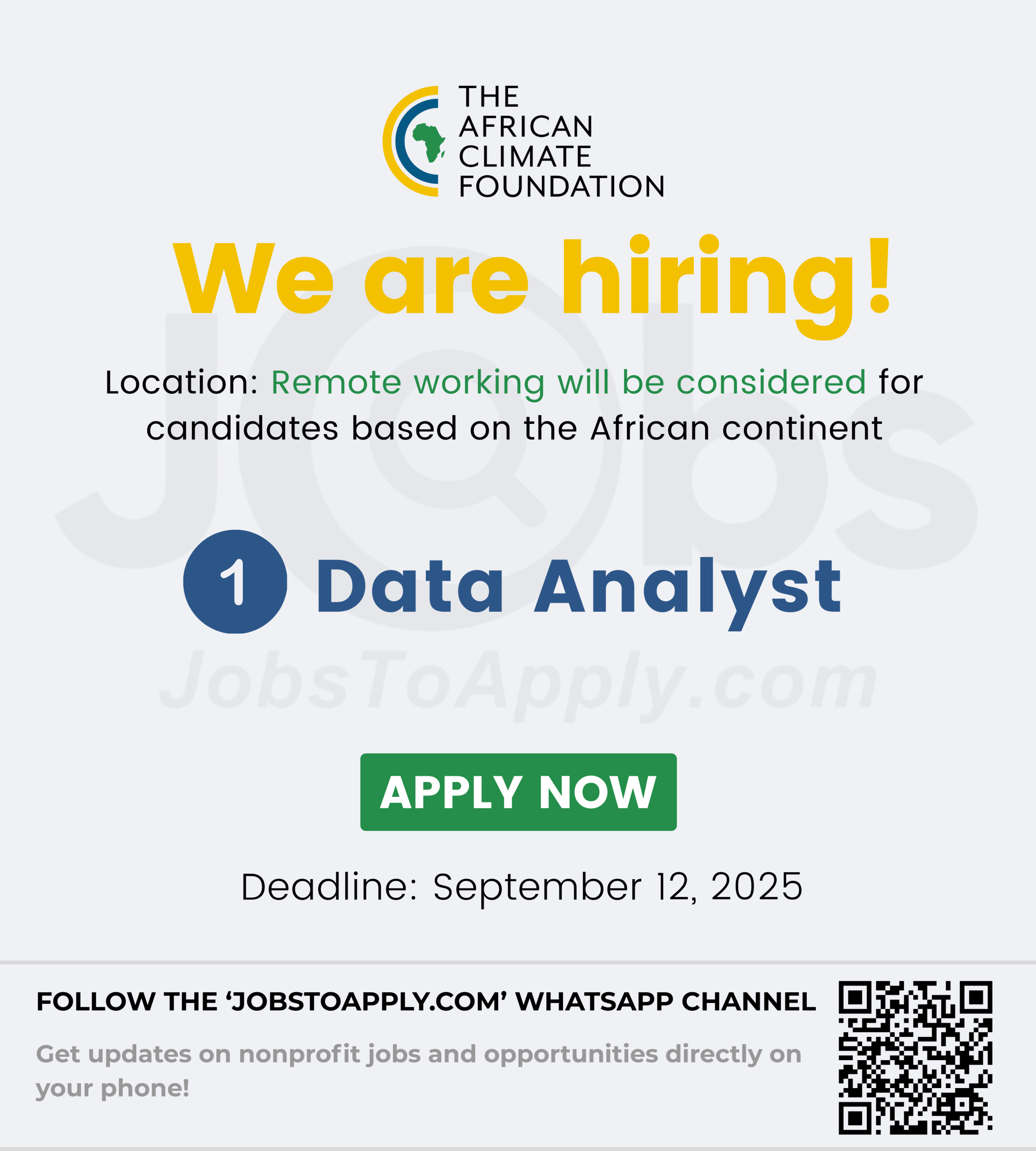 Data Analyst