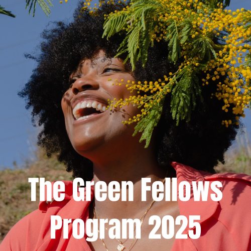 The Green Fellows Program 2025: A Fully Funded Sustainability Fellowship for Young Leaders Worldwide