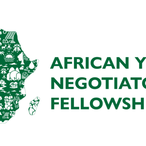 African Youth Negotiators Fellowship Programme