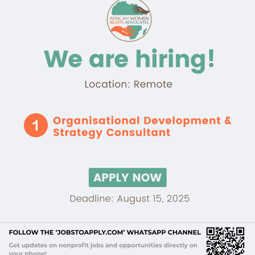 Organisational Development & Strategy Consultant