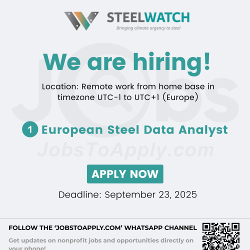 European Steel Data Analyst