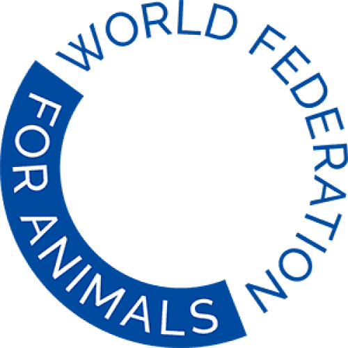 Donor & Grant Development Officer