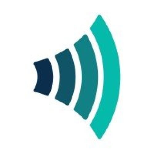 Digital Policy Analyst