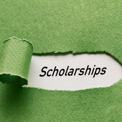 RFAs: Mahmoud S. Rabbani Scholarship Program