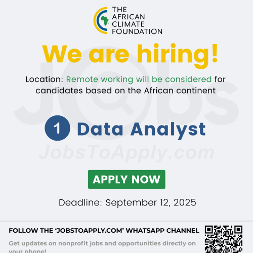 Data Analyst