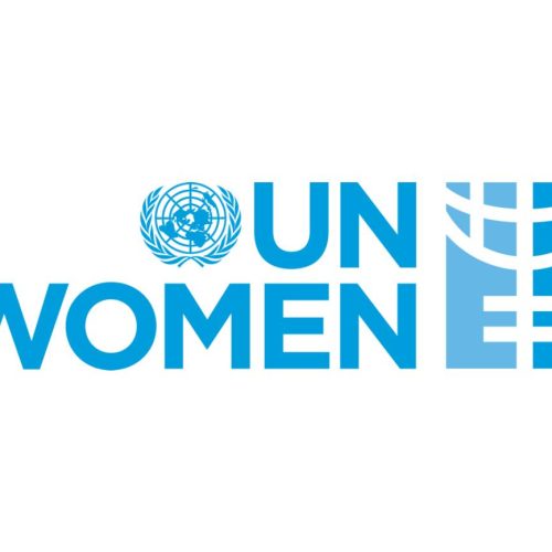 Call for Proposals: Women Rapid Response Window I/RNGO Partners