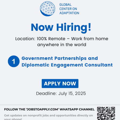 Government Partnerships and Diplomatic Engagement Consultant